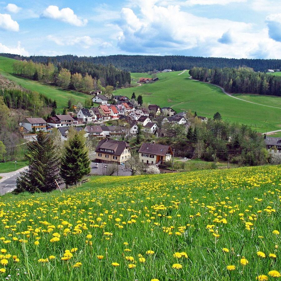 Linde und Lindehiesle 10