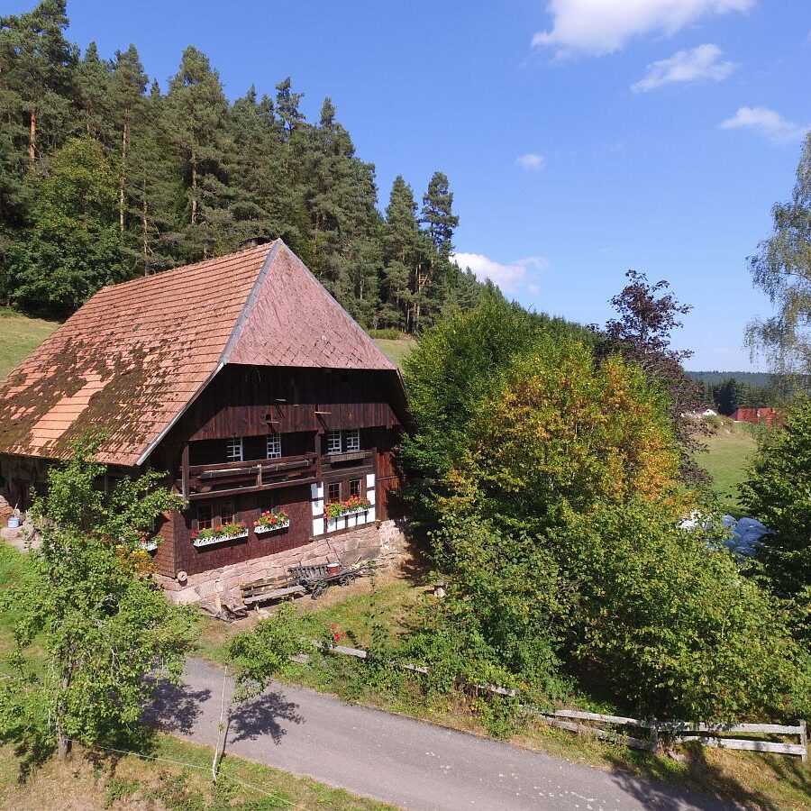 Linde und Lindehiesle 11