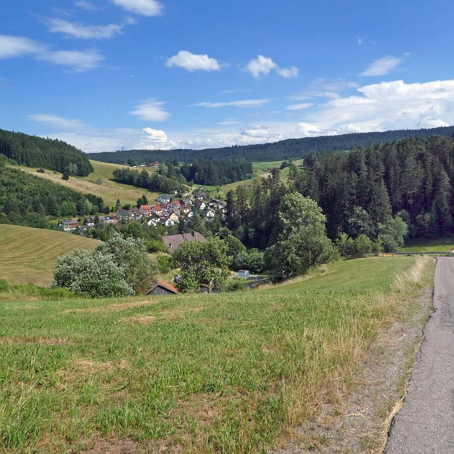 Linde und Lindehiesle 13