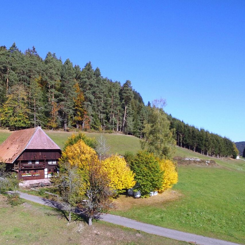 Linde und Lindehiesle 17