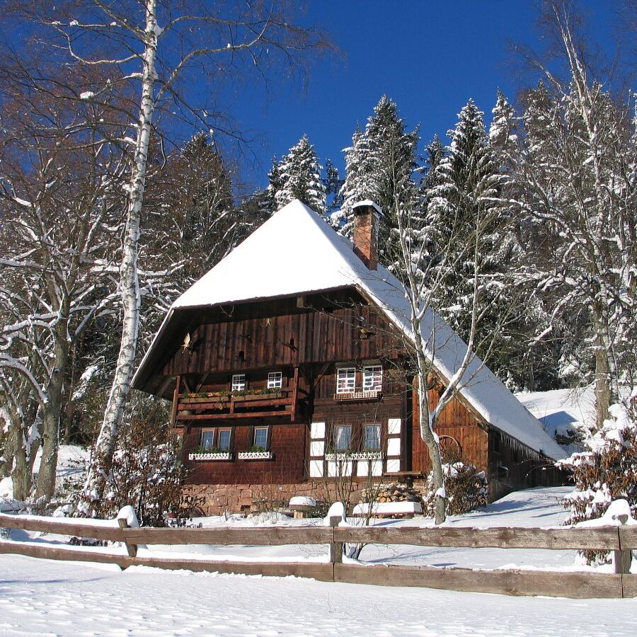 Linde und Lindehiesle 19