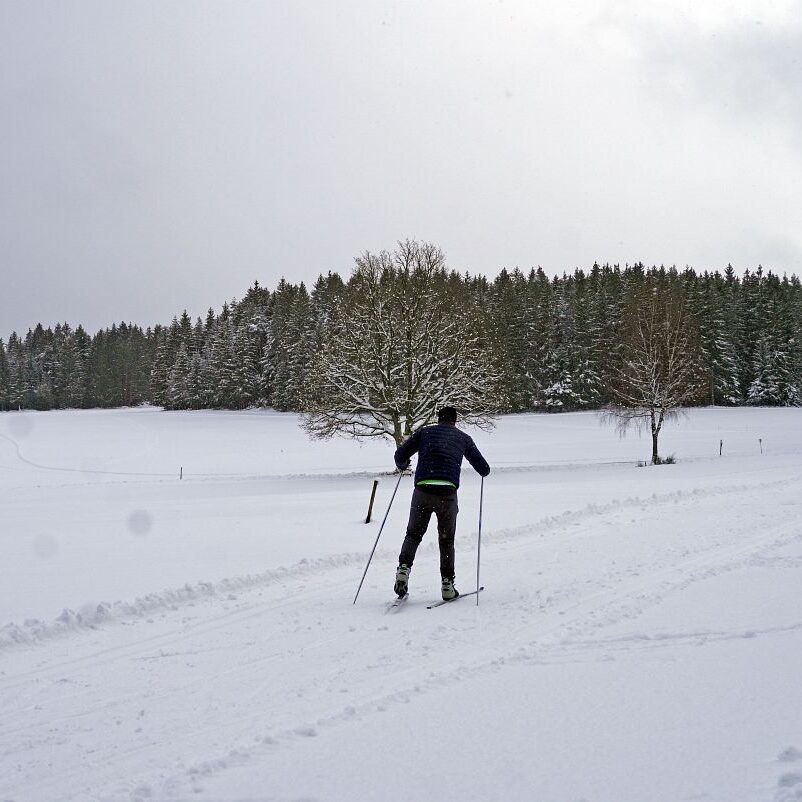 Loipe und Rodelbahn in Tennenbronn 10