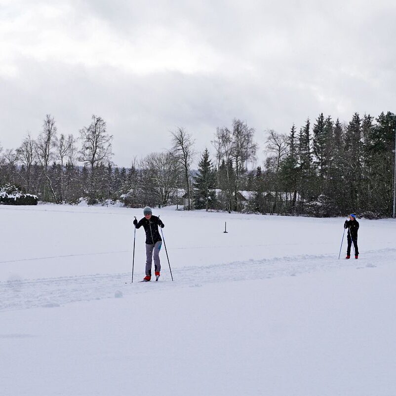 Loipe und Rodelbahn in Tennenbronn 11