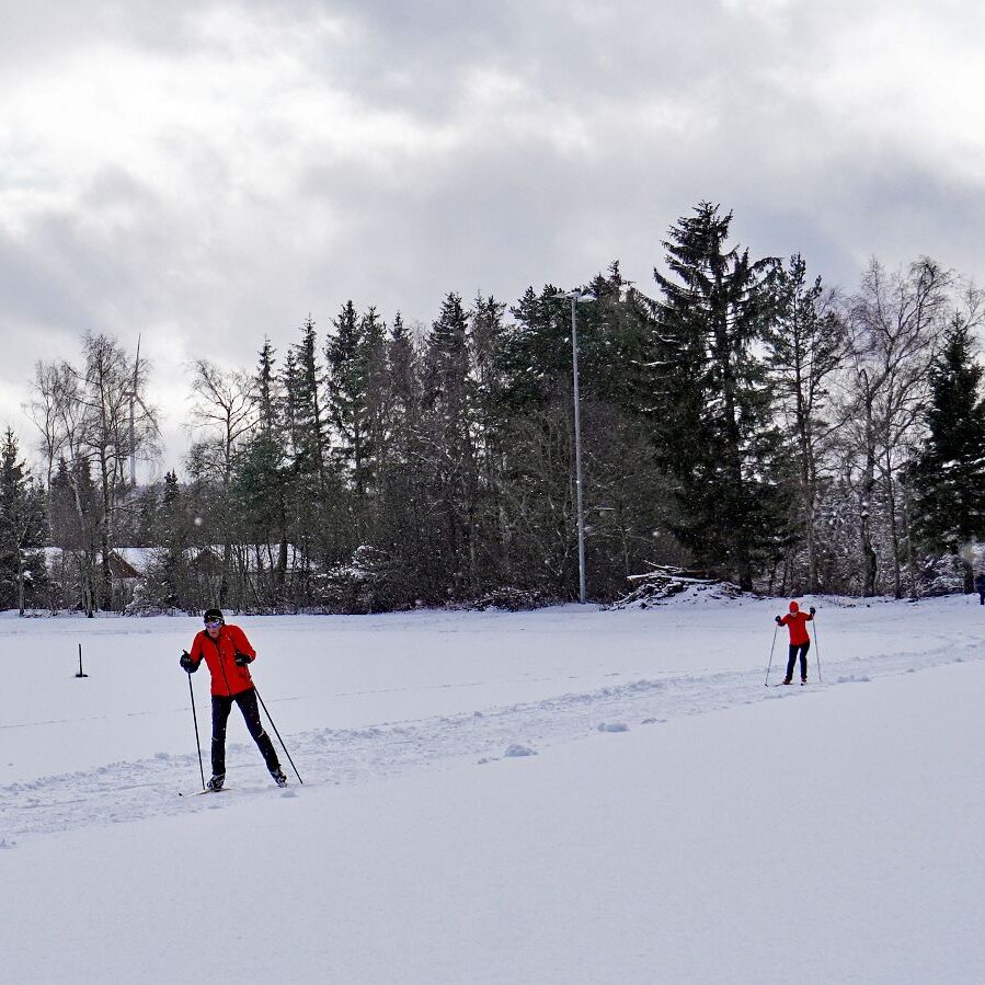Loipe und Rodelbahn in Tennenbronn 12