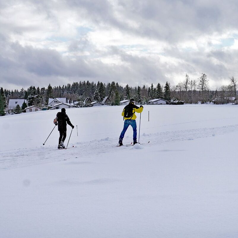Loipe und Rodelbahn in Tennenbronn 14