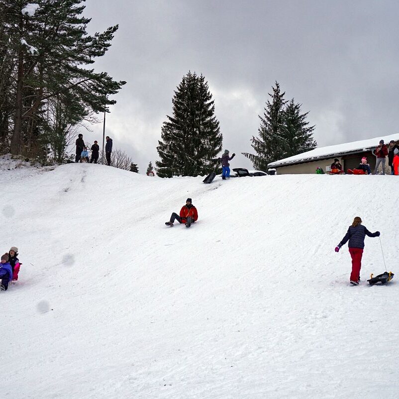 Loipe und Rodelbahn in Tennenbronn 16