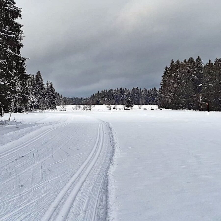 Loipe und Rodelbahn in Tennenbronn 3