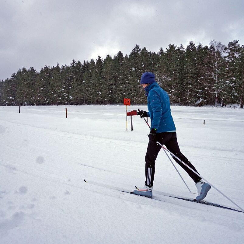 Loipe und Rodelbahn in Tennenbronn 6