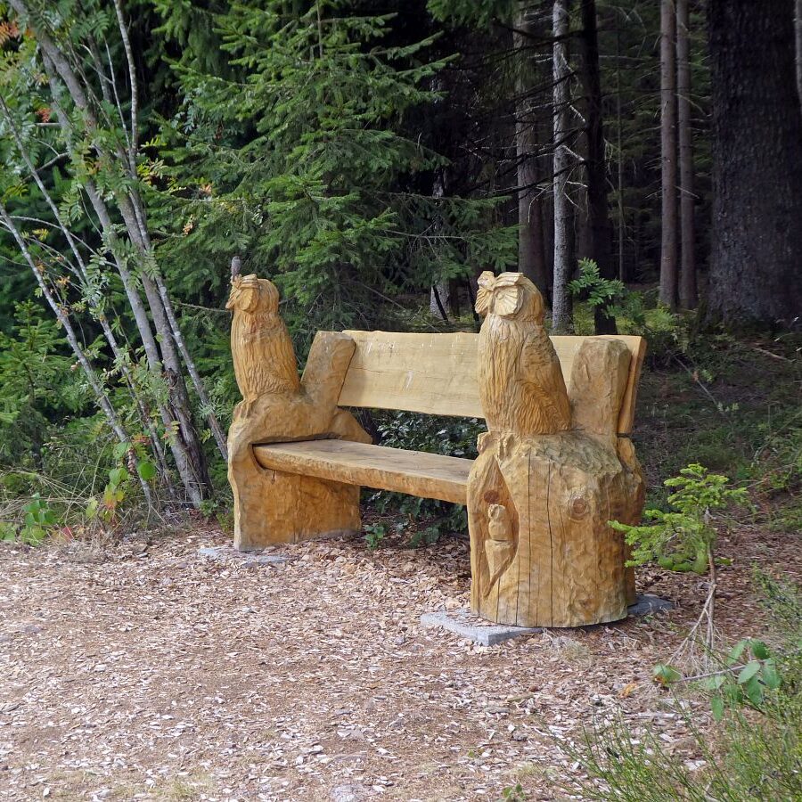 Naturpark Augenblick im Bereich Purpen 12