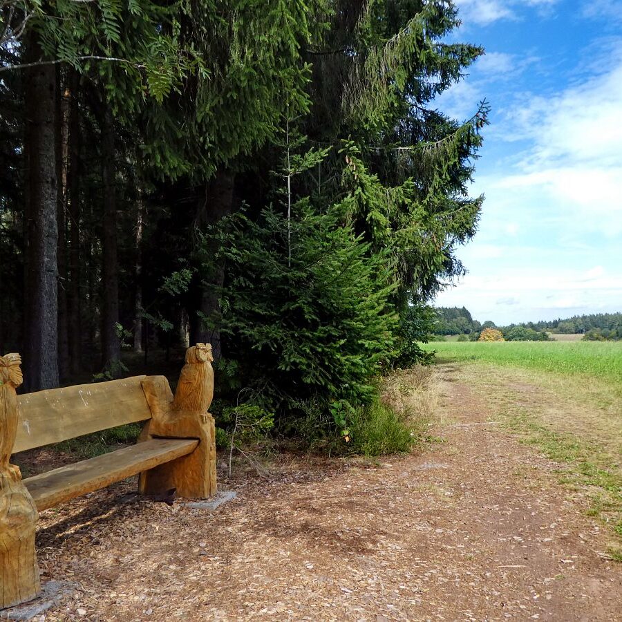 Naturpark Augenblick im Bereich Purpen 14