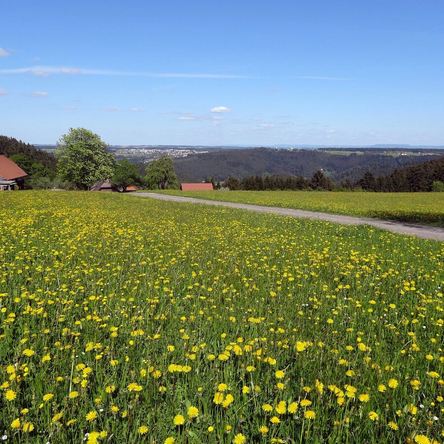 Purpen und Purpenhalde 1