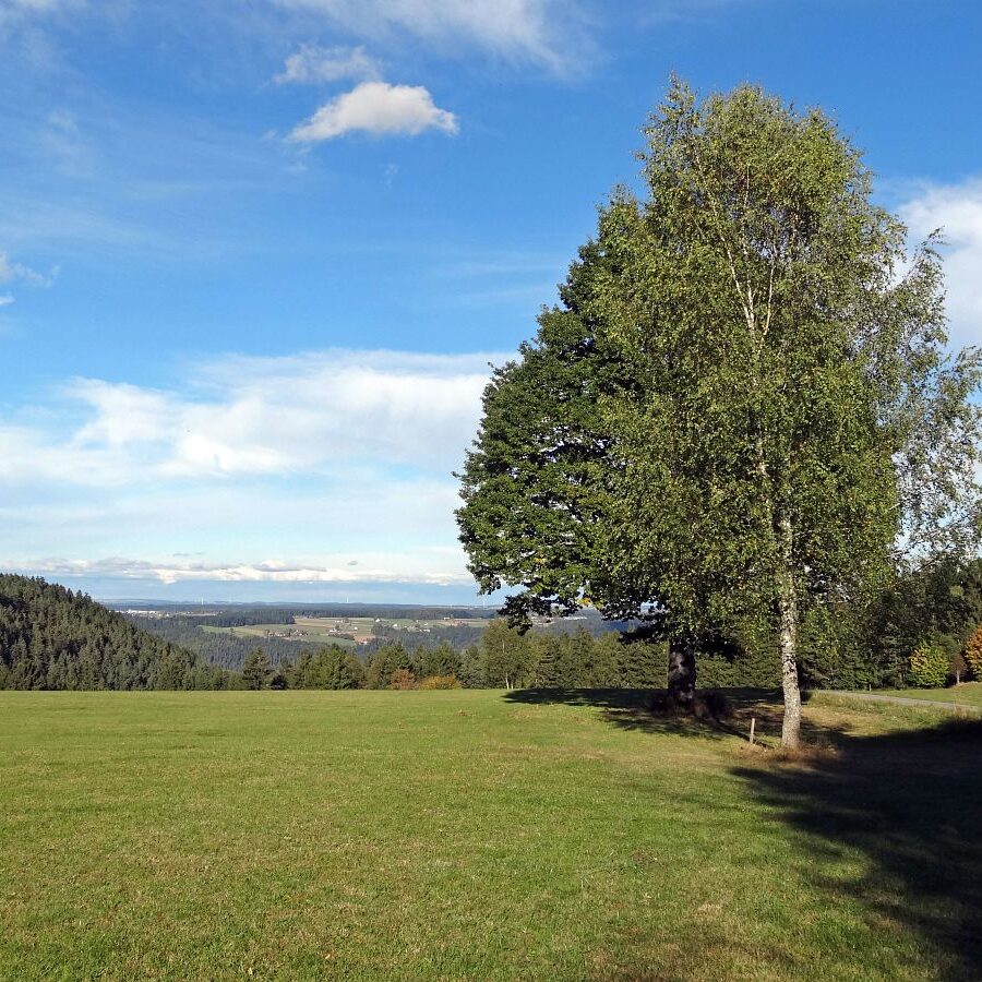 Purpen und Purpenhalde 10