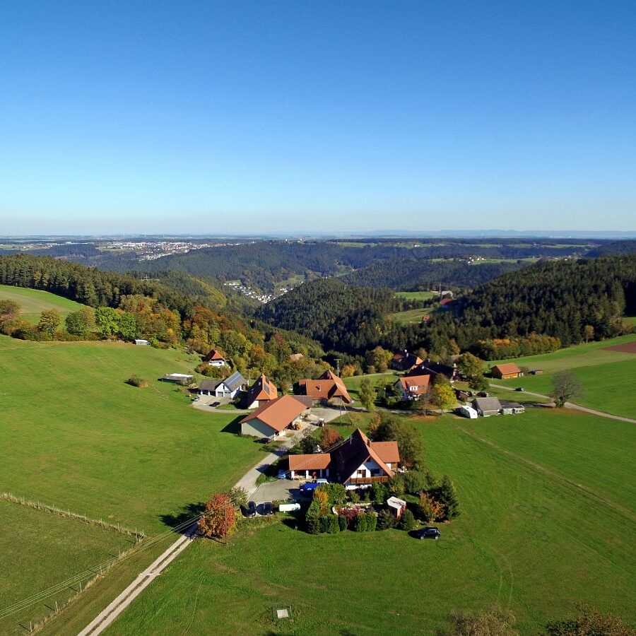 Purpen und Purpenhalde 13