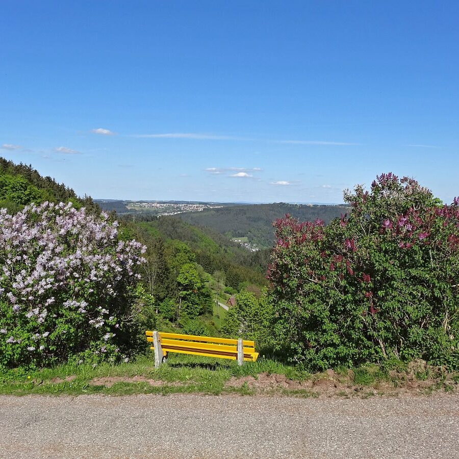 Purpen und Purpenhalde 6