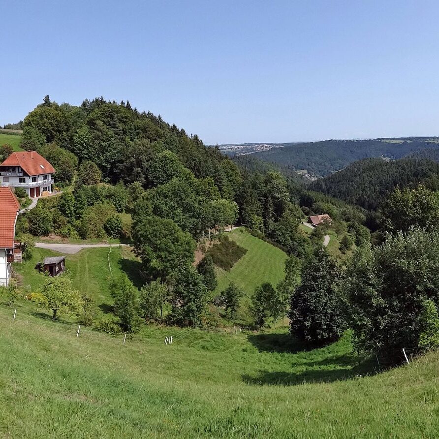 Purpen und Purpenhalde 8