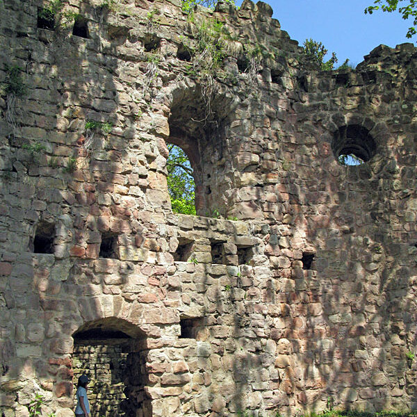 Ruine Waldau 2