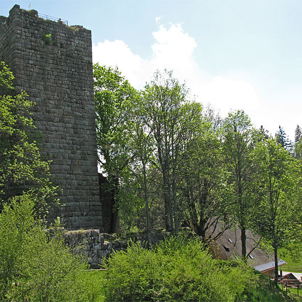 Ruine Waldau 4