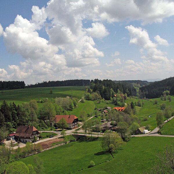 Ruine Waldau Blick vom Turm 2