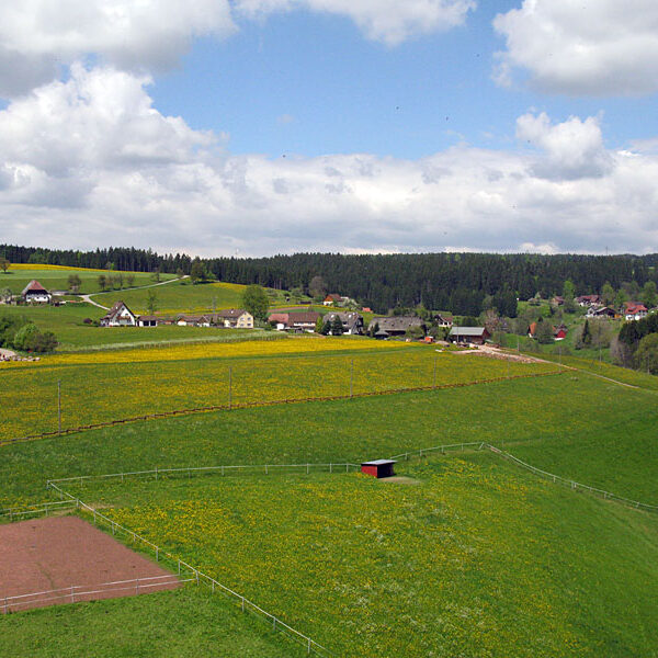Ruine Waldau Blick vom Turm