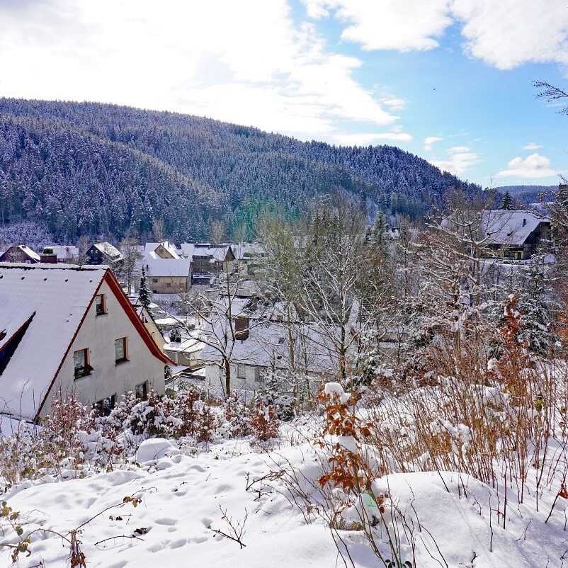 Schnee in Tennenbronn 1