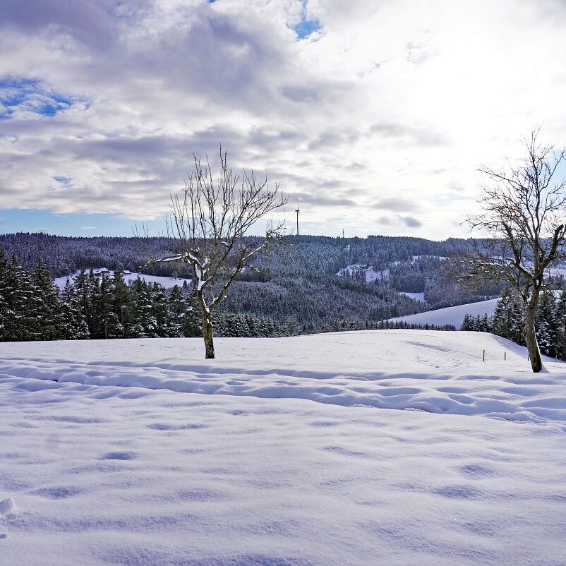 Schnee in Tennenbronn 18