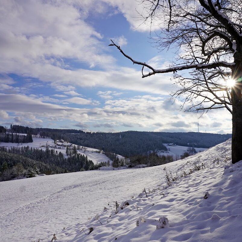 Schnee in Tennenbronn 23