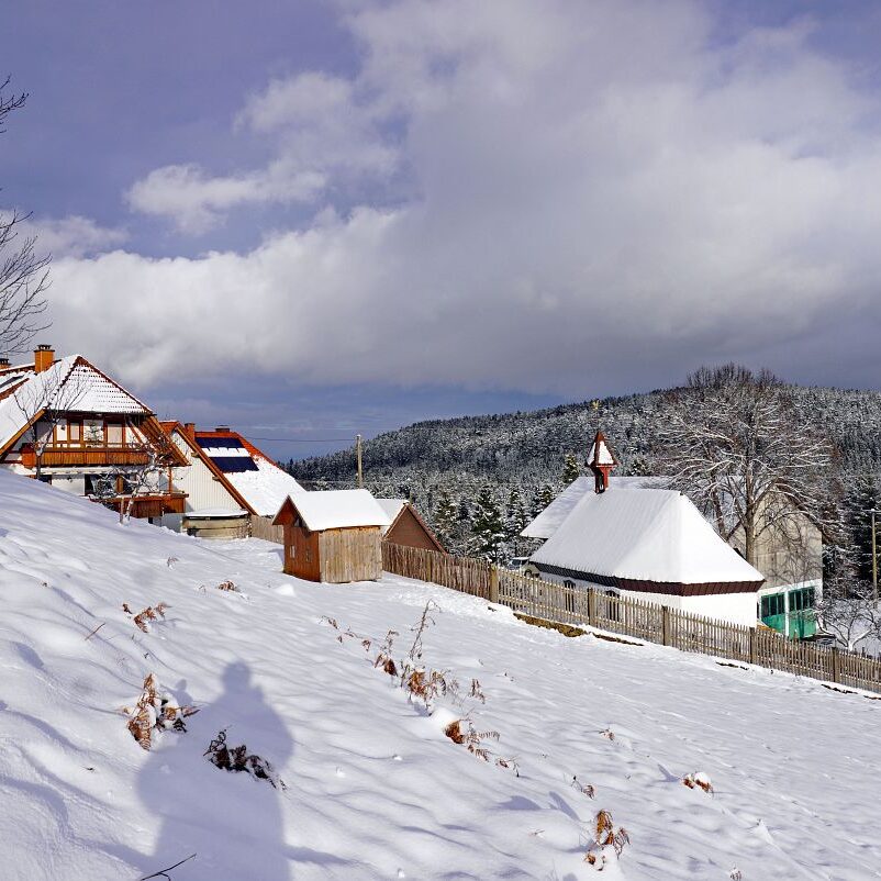 Schnee in Tennenbronn 24