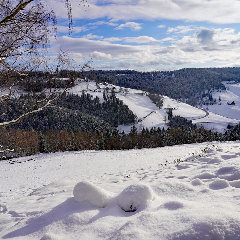 Schnee in Tennenbronn 25