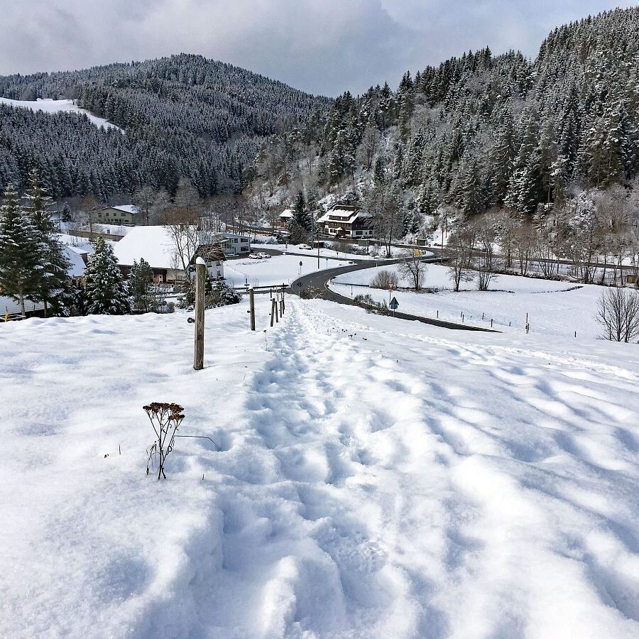 Schnee in Tennenbronn 27