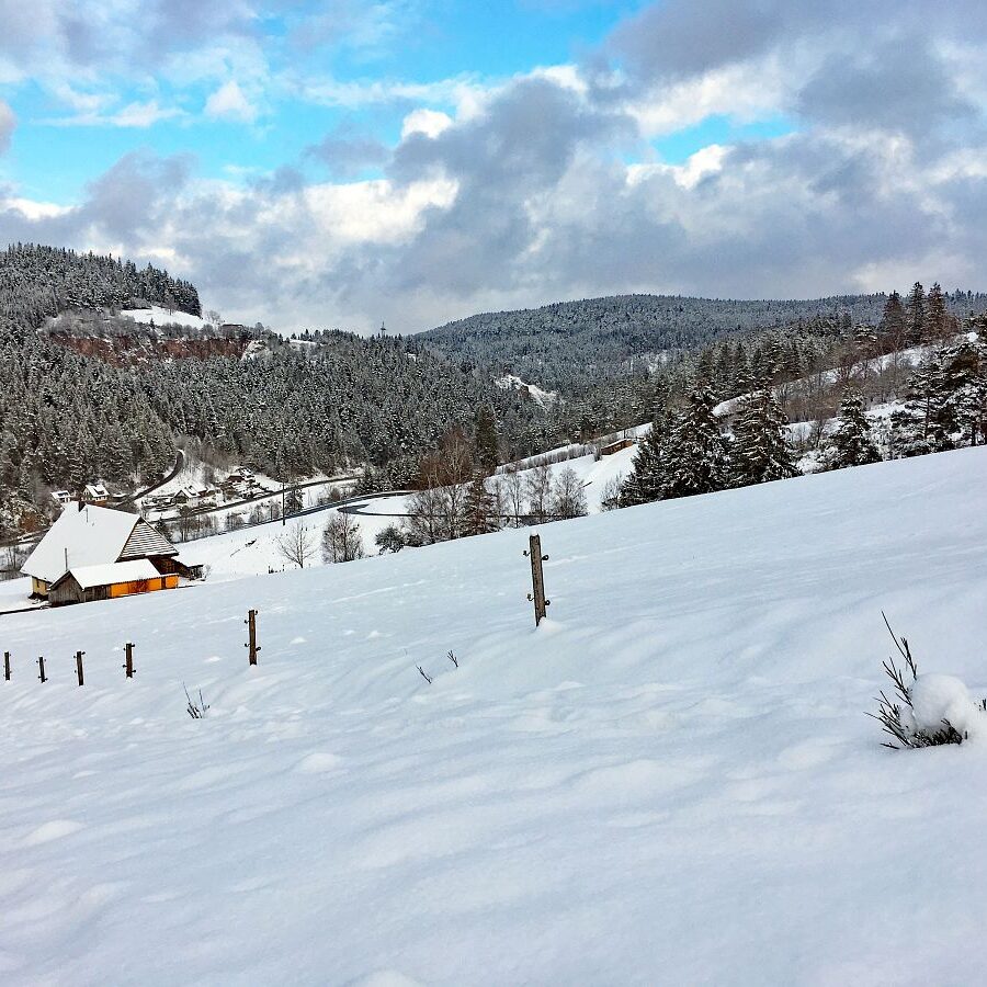 Schnee in Tennenbronn 28