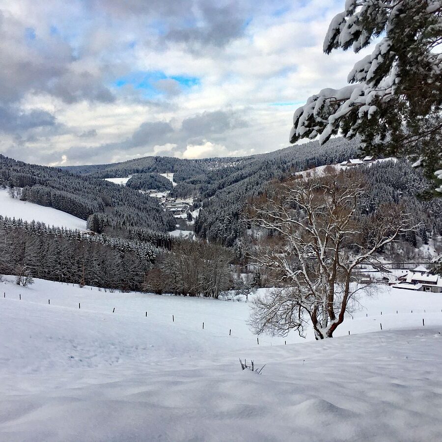 Schnee in Tennenbronn 29