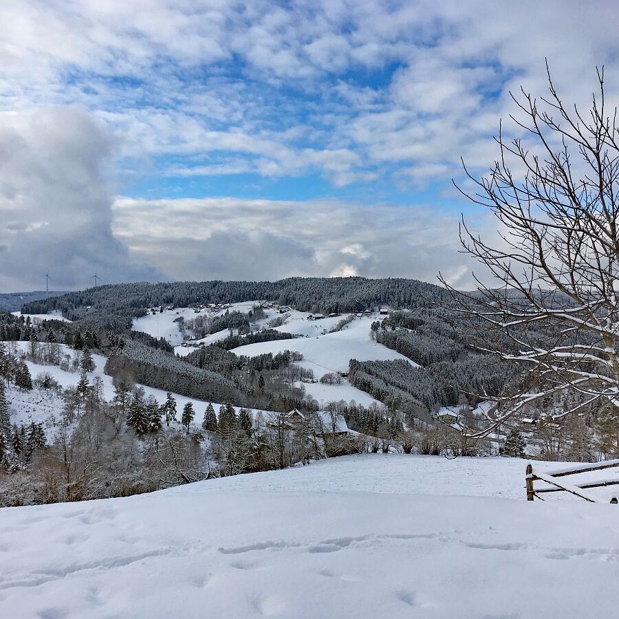 Schnee in Tennenbronn 31