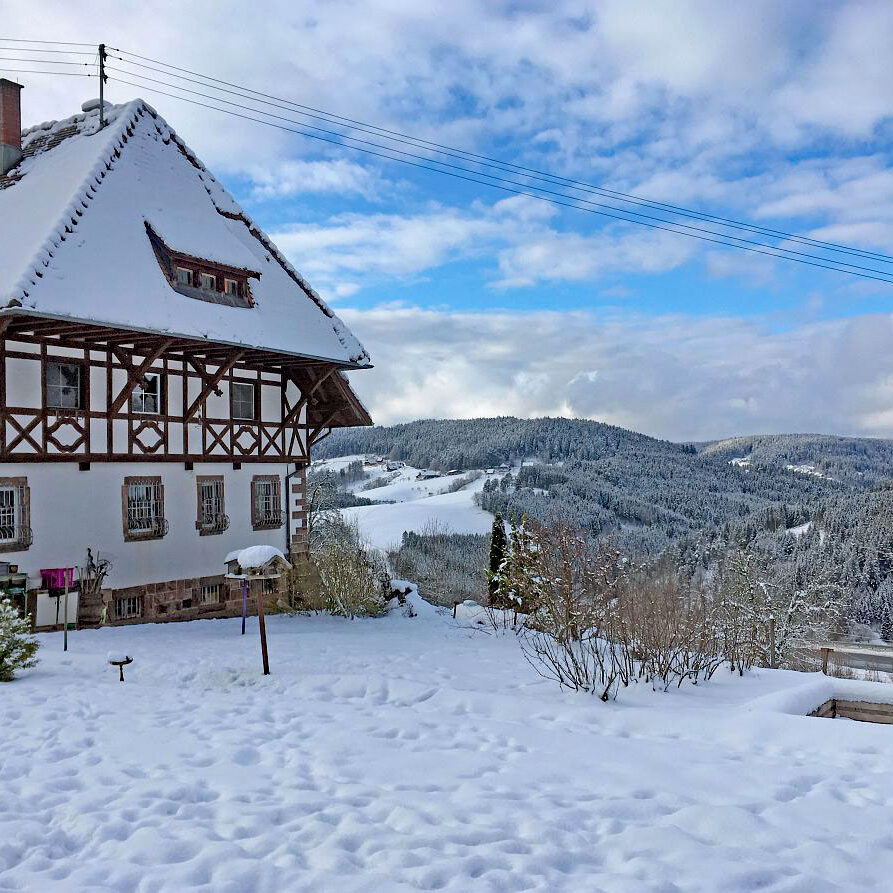 Schnee in Tennenbronn 32a