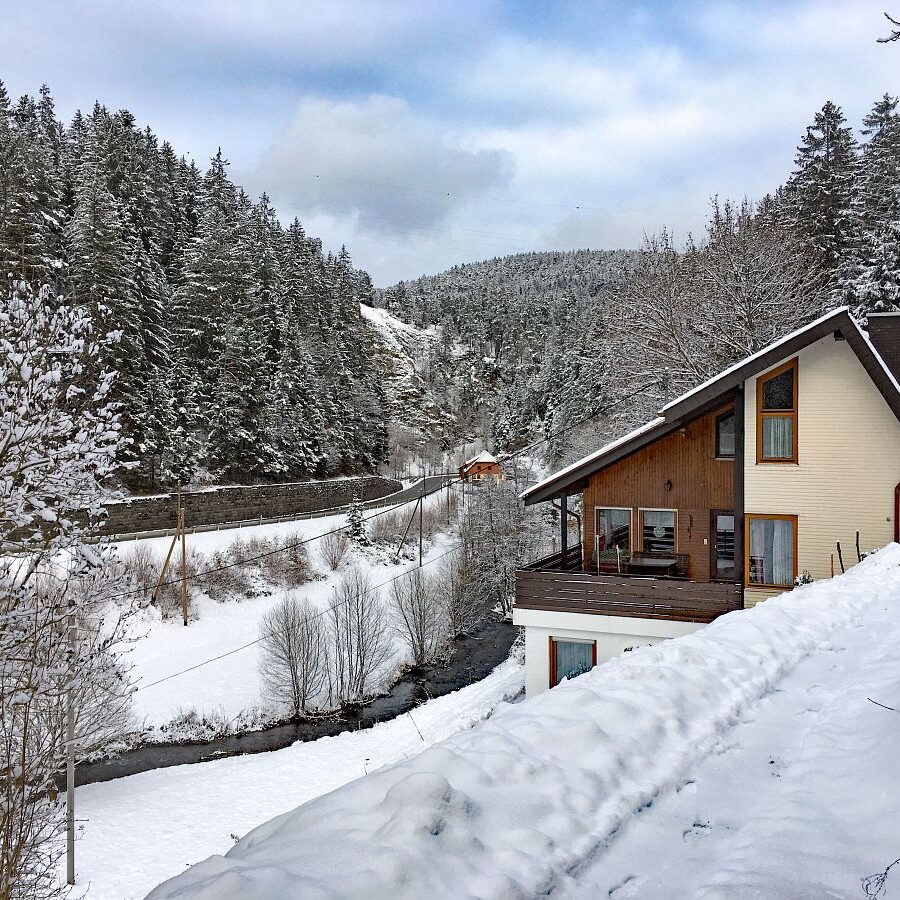 Schnee in Tennenbronn 35