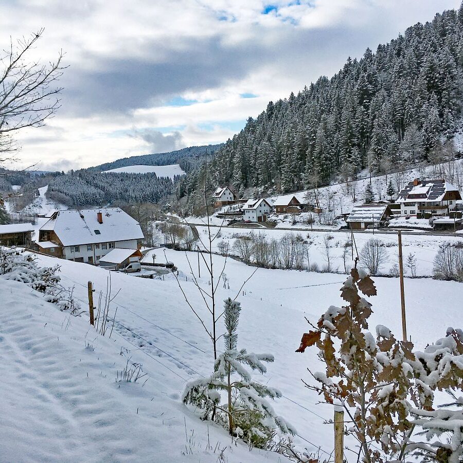 Schnee in Tennenbronn 36