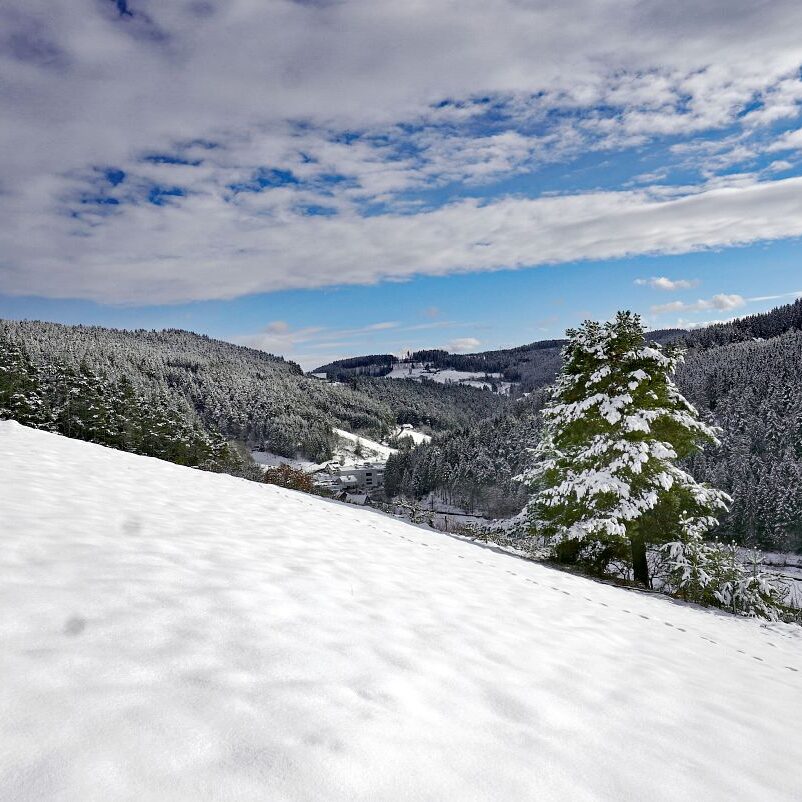 Schnee in Tennenbronn 4