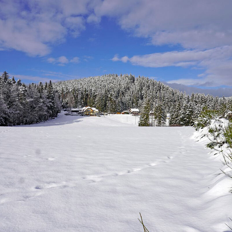 Schnee in Tennenbronn 7a
