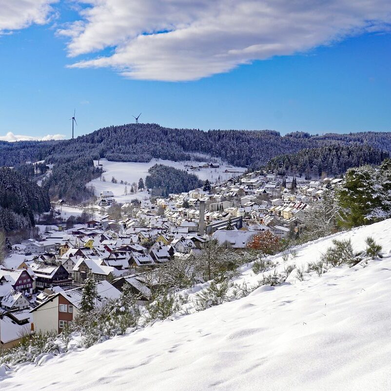 Schnee in Tennenbronn 8