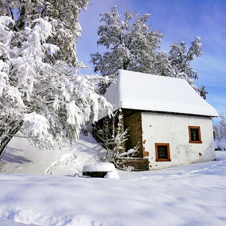 Tennenbronn Schnee 15.01.2021 1