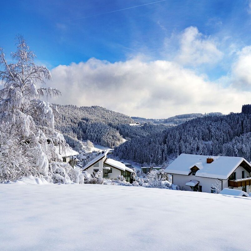 Tennenbronn Schnee 15.01.2021 10