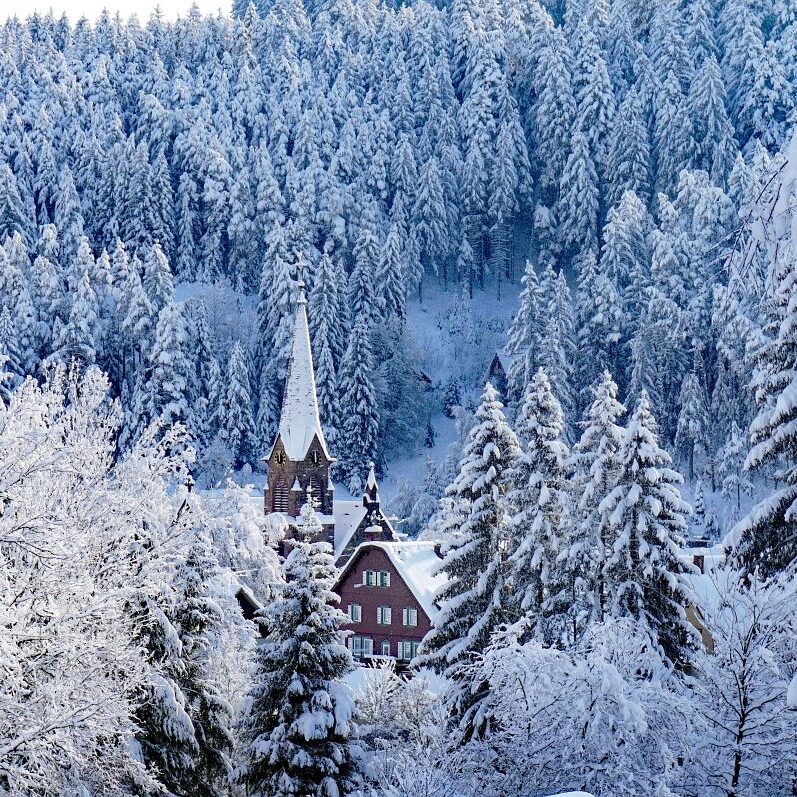 Tennenbronn Schnee 15.01.2021 12