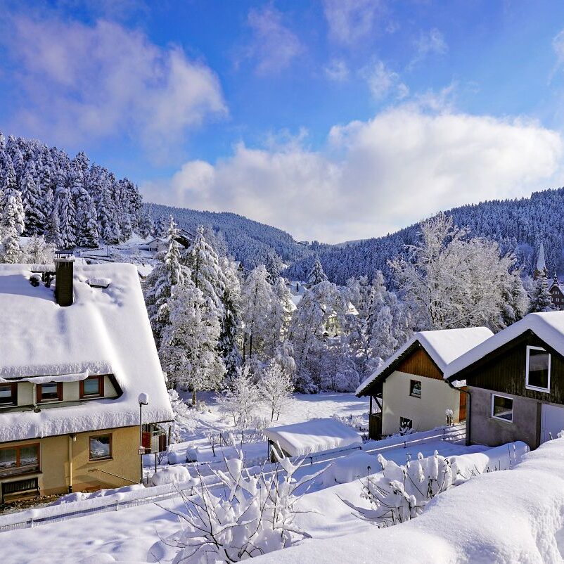 Tennenbronn Schnee 15.01.2021 13