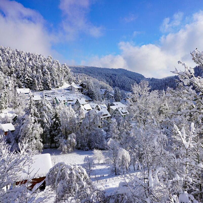 Tennenbronn Schnee 15.01.2021 14