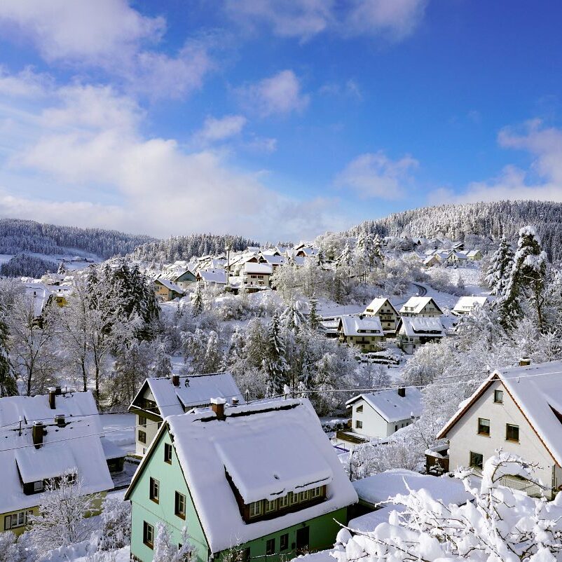 Tennenbronn Schnee 15.01.2021 15