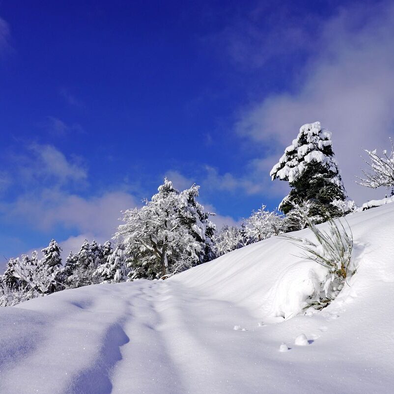 Tennenbronn Schnee 15.01.2021 16