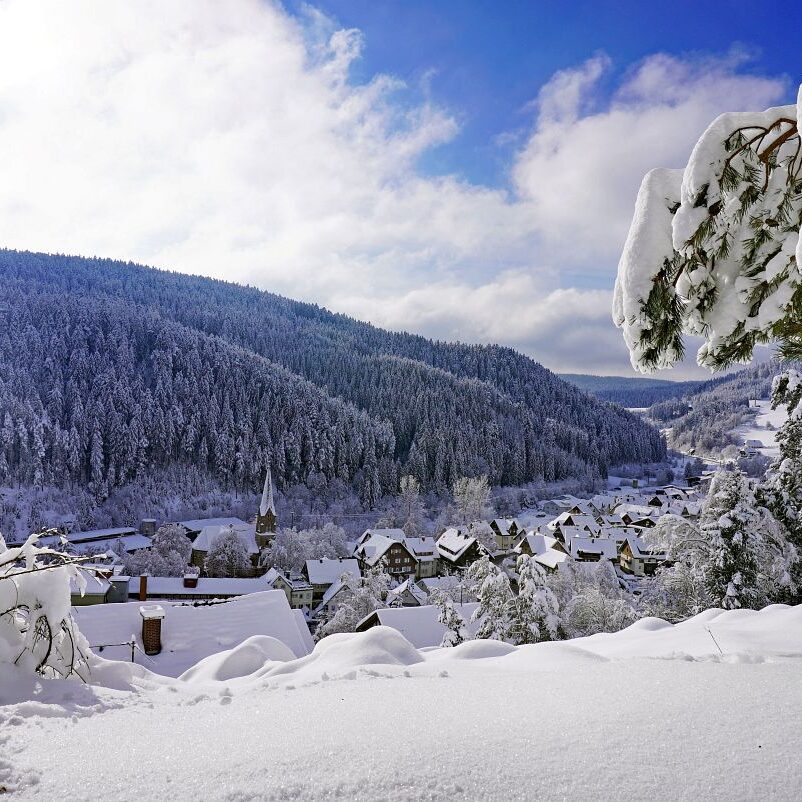 Tennenbronn Schnee 15.01.2021 18