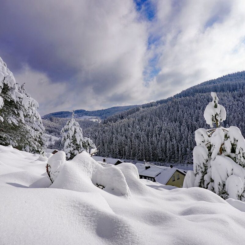 Tennenbronn Schnee 15.01.2021 19