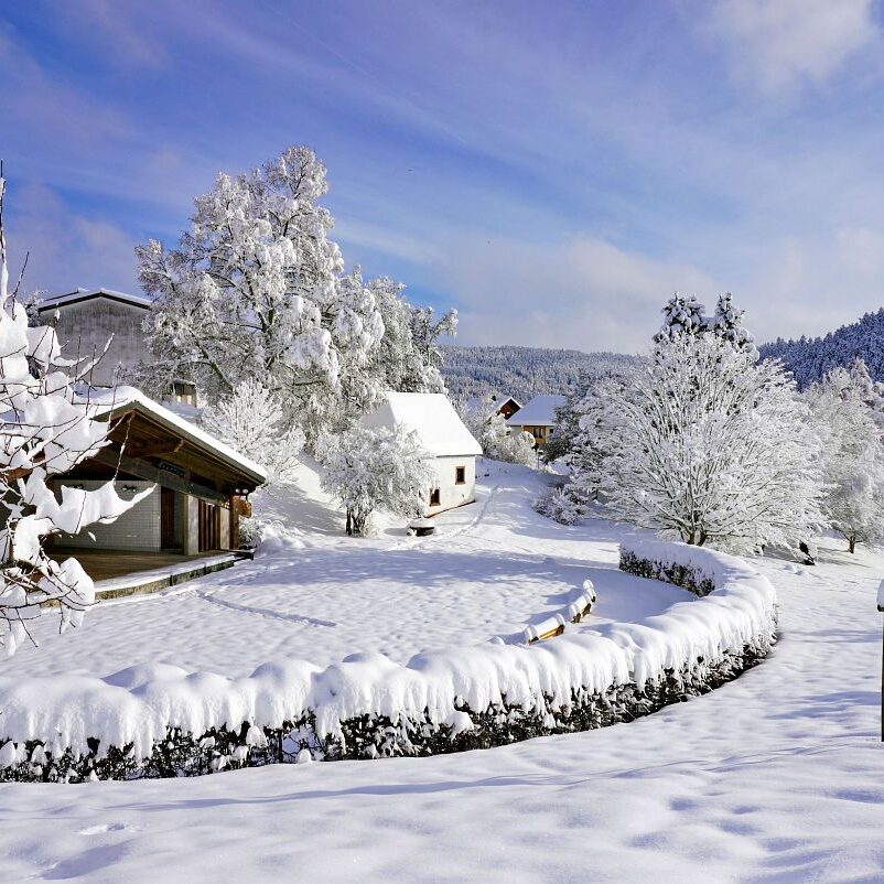 Tennenbronn Schnee 15.01.2021 2