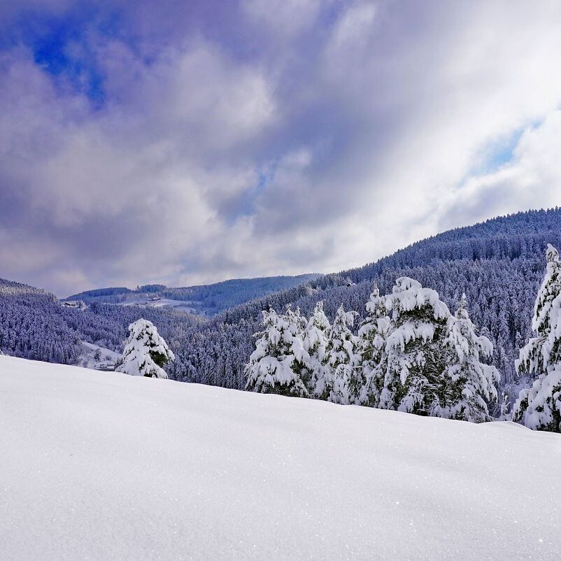 Tennenbronn Schnee 15.01.2021 20
