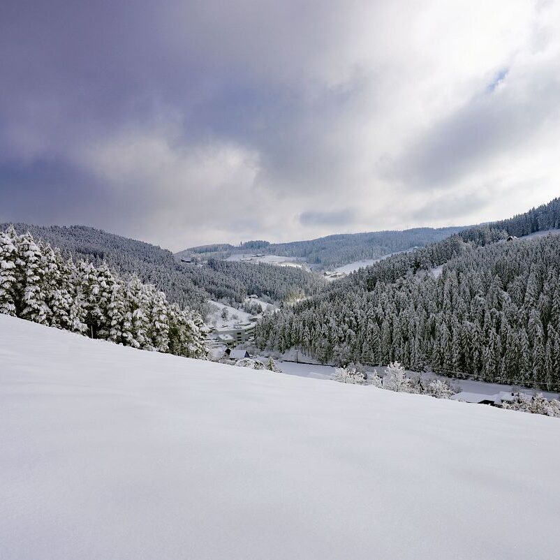 Tennenbronn Schnee 15.01.2021 22